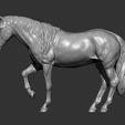 horse-3d-model-bec5438dce.jpg Horse 3D print model