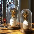 20170515_100234.jpg ANANAS