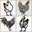 20231001_161833.jpg chicken pack wall art chickens wall decor pack rooster bundle farmhouse decor