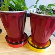 cups_in_trays.jpg Solo Cup Seedling Planter Drip Tray