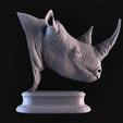 05.png Rhinoceros
