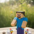 1762867602692.jpg Minecraft Steve