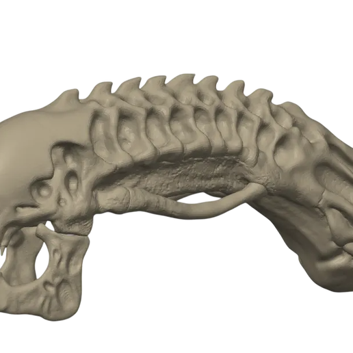 Xenomorph 3D model