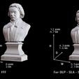 13.jpg Ludwig van Beethoven Bust  Model Printing Miniature Assembly File STL for 3D Printer FDM-FFF DLP-SLA-SLS