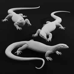 MonAll.png Archivo STL Monitor Ackie - Monitor de cola espinosa - Reptil mascota lagarto・Modelo de impresora 3D para descargar