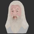 33.jpg Dumbledore from Harry Potter bust for full color 3D printing