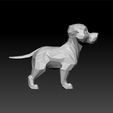 d222.jpg dog - cute dog - dog for game - dog 3d model for unity3d - dog low poly- dog for unreal engine - ue5 dog