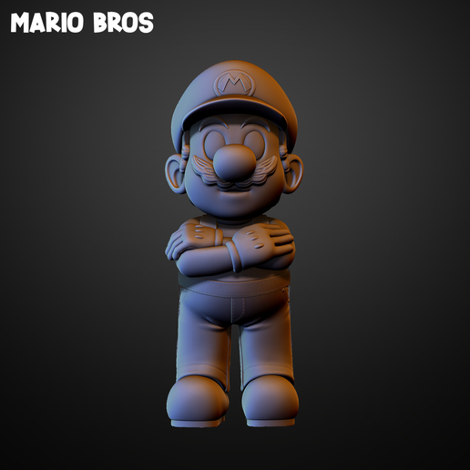 Mario Bros 3D model