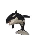 129.jpg ORCA Killer Whale Dolphin FISH sea CREATURE 3D ANIMATED RIGGED MODEL