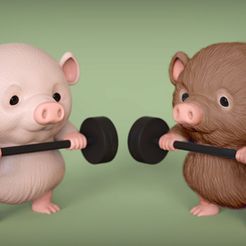 Piggy.jpg Piggy lifting weights