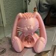Conejo de Pascua impreso sin soportes