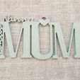 1000006895.jpg Mothers day wall sign
