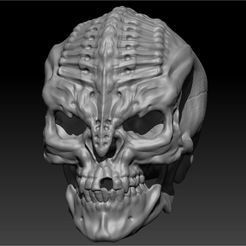 ZBrush_18.jpg Télécharger fichier STL Crâne de Klingon • Design pour imprimante 3D, Orion12