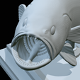 White-grouper-open-mouth-1-55.png fish white grouper / Epinephelus aeneus trophy statue detailed texture for 3d printing