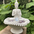 Captura-de-tela-2026-01-31-150256.png Buddha figurine in a lotus flower.