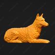 1655-Belgian_Shepherd_Dog_Laekenois_Pose_09.jpg Belgian Shepherd Dog Laekenois Dog 3D Print Model Pose 09