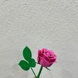WhatsApp-Image-2026-02-12-at-04.13.53-1.jpeg Modular Rose  - Snap-Fit Design valentine day