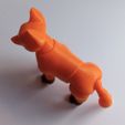 1621685037585.jpg Fox BJD