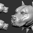 07.jpg Animal Head