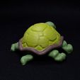 IMG_0264.jpg Turtle Bobblehead