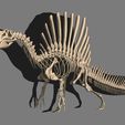 16.jpg Spinosaurus Complete Skeleton