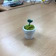 IMG_7464.jpeg Miniature Flowerpot with Tinkercad + 3D pen