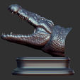 16.png Cabeça de crocodilo