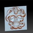 skullAndSnakeA4.jpg skull model of bas-relief