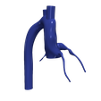 1.png 3D Model of Aorta and Coronary Arteries - 6pack