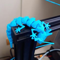 flexi Salamander low poly, print in place