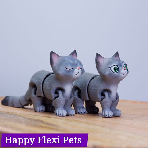 IMG_2418.jpg Fichier STL Busya l'empreinte en place chat jouet flexible・Plan imprimable en 3D à télécharger, HappyFlexiPets