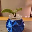 Geodesic Planter Pot