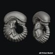 Alien_Chibi_Render3.jpg Xenomorph Alien Embryo