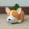 1eedba7d-5610-434b-9fc3-97ec01750fd2.jpg Planter corgi, dog, flower pot