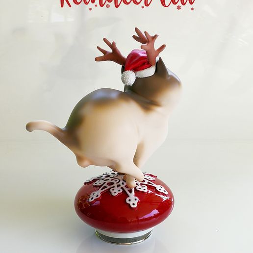 reindeer cat07.jpg Gato rena