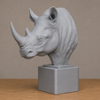 Rhino.png Rhino
