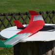 Capture_d_e_cran_2016-08-01_a__10.14.56.png Speedy "Red Swept Wing 2" RC