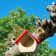 5.jpg Red Throat Nesting Box