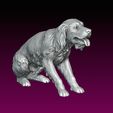 2.jpg Dog statue Spaniel