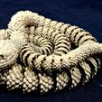 Serpiente y cascabel
