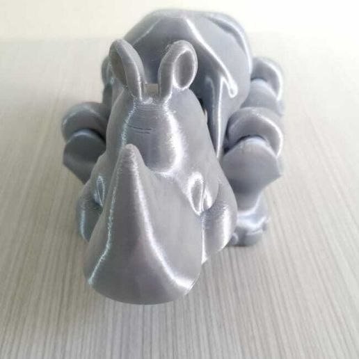 WhatsApp-Image-2024-02-15-at-8.31.21-AM-1.jpeg Flexi Rhino Runner