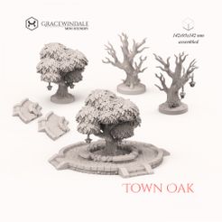 1000X1000-Gracewindale-oak.jpg Town Oak