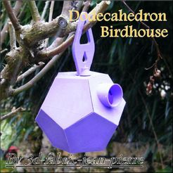 3d-fabric-jean-pierre_dodecahedron_birdhouse_view_title_carr_Lt.jpg STL file DODECAHEDRON BIRDHOUSE・3D printing model to download