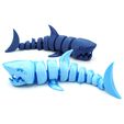 DSC01212 copia.jpg Бесплатный STL файл Шарнирная акула・3D-печатная модель для загрузки, mcgybeer