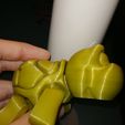 tortue flexible