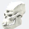 skull.jpg Cráneo de Troll