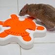 39d06f9b-9e49-46f9-b15b-eca638f9c6c9.jpg (Pet Enrichment Toy) Turntable Starfish