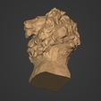 I18.jpg Low Poly Lion Bust