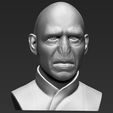 14.jpg Lord Voldemort bust ready for full color 3D printing