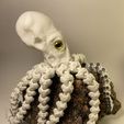 Octopus-white-on-the-rock.jpeg **FLEXI ARTICULATED Octopus 3D MODEL WITH MOVING SEGMENTS**